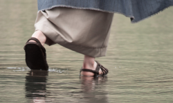 Following Jesus into the future Image