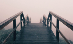The church & racial justice Image