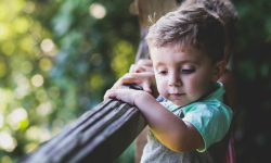 Boundaries—do they inhibit or create freedom? Image