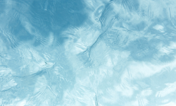 Refreshment, renewal… and registration Image