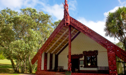 He iwi tahi tātou Image