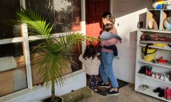 Heart and housing in Whangārei Image