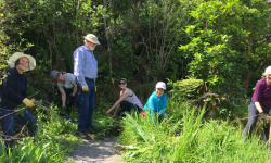 Eastview Eco Group pitches in Image