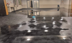 Auckland Severe Weather and Floods Image