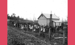 Women’s History day and woman of the Month: Elinor Thornton 1867-1946 Image