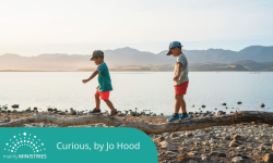 Curious: A new way to think about team Image