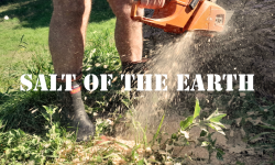 Salt of the earth: Heroes Image
