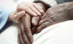 The compassionate confidante Image