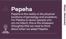 Pepeha Image
