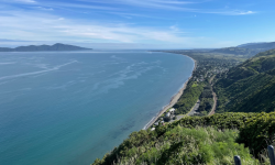Ngāti ikatonga Image