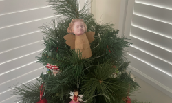 An angel sits on top of our Christmas Tree Image