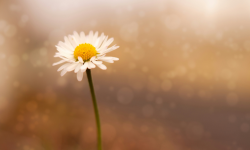 The God who sees me Image